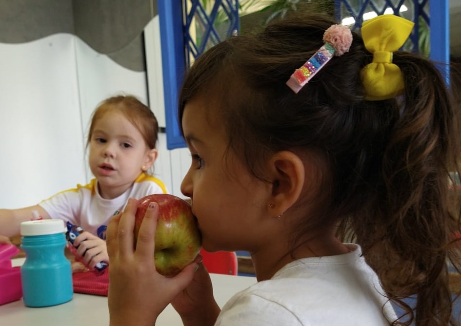 Os projetos da Santi como escola sustentável